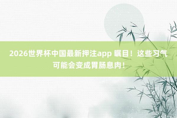 2026世界杯中国最新押注app 瞩目！这些习气可能会变成胃肠息肉！