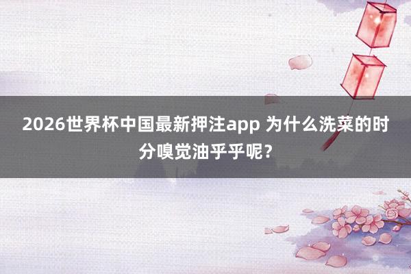 2026世界杯中国最新押注app 为什么洗菜的时分嗅觉油乎乎呢？