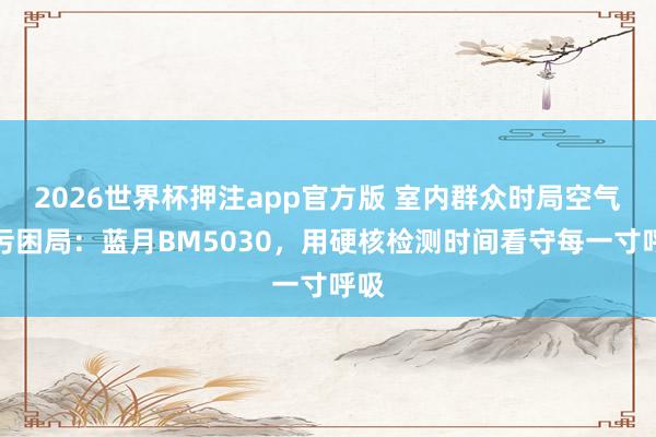 2026世界杯押注app官方版 室内群众时局空气沾污困局：蓝月BM5030，用硬核检测时间看守每一寸呼吸