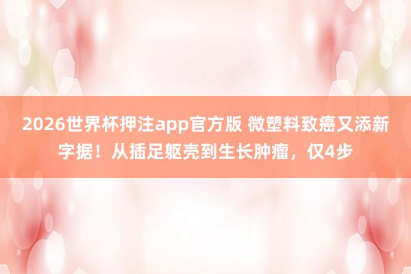 2026世界杯押注app官方版 微塑料致癌又添新字据！从插足躯壳到生长肿瘤，仅4步