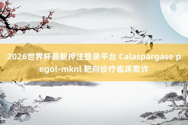 2026世界杯最新押注登录平台 Calaspargase pegol‑mknl 靶向诊疗临床欺诈