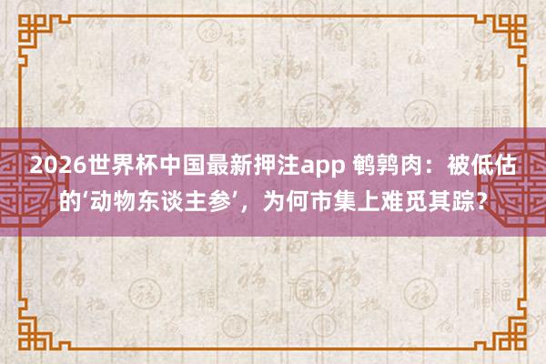 2026世界杯中国最新押注app 鹌鹑肉：被低估的‘动物东谈主参’，为何市集上难觅其踪？