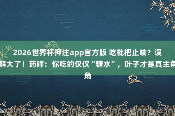 2026世界杯押注app官方版 吃枇杷止咳？误解大了！药师：你吃的仅仅“糖水”，叶子才是真主角