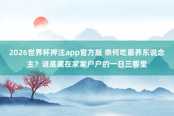 2026世界杯押注app官方版 奈何吃最养东说念主？谜底藏在家家户户的一日三餐里