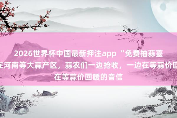 2026世界杯中国最新押注app “免费抽蒜薹”背后：在河南等大蒜产区，蒜农们一边抢收，一边在等蒜价回暖的音信