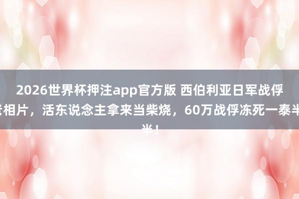 2026世界杯押注app官方版 西伯利亚日军战俘老相片，活东说念主拿来当柴烧，60万战俘冻死一泰半！