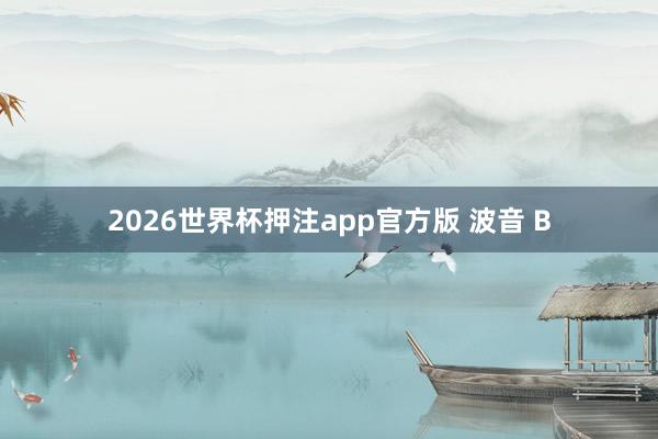 2026世界杯押注app官方版 波音 B