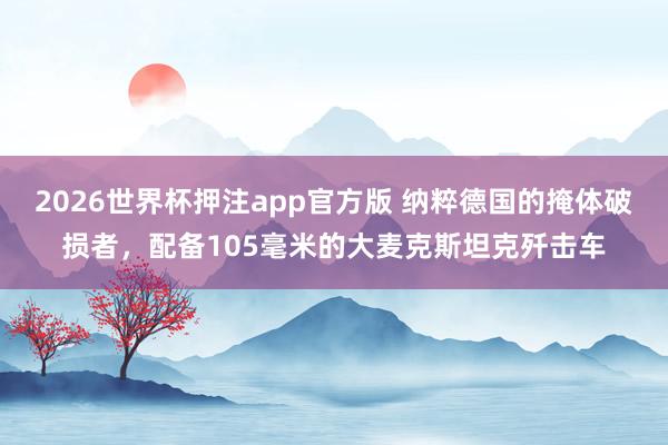 2026世界杯押注app官方版 纳粹德国的掩体破损者，配备105毫米的大麦克斯坦克歼击车