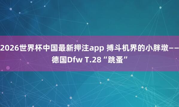 2026世界杯中国最新押注app 搏斗机界的小胖墩——德国Dfw T.28“跳蚤”