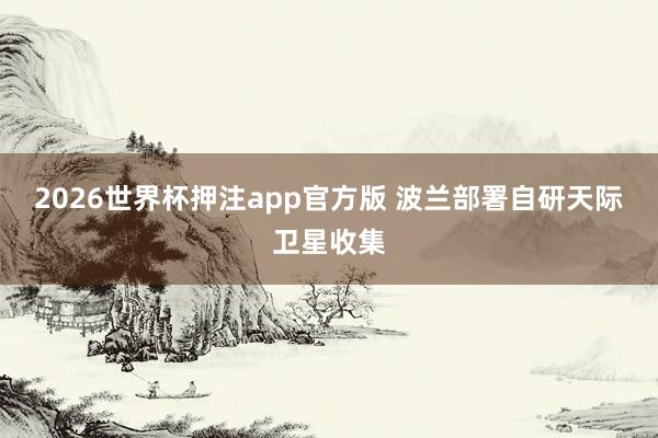 2026世界杯押注app官方版 波兰部署自研天际卫星收集