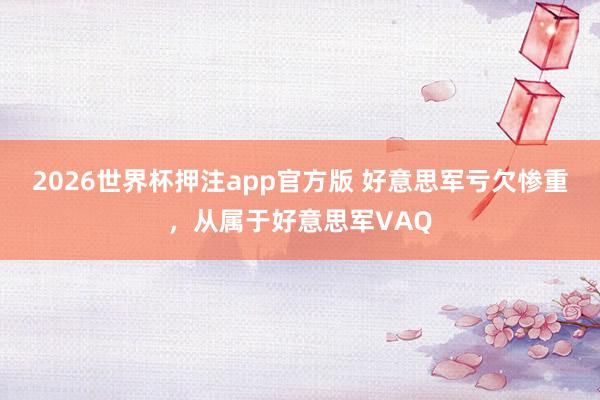 2026世界杯押注app官方版 好意思军亏欠惨重，从属于好意思军VAQ