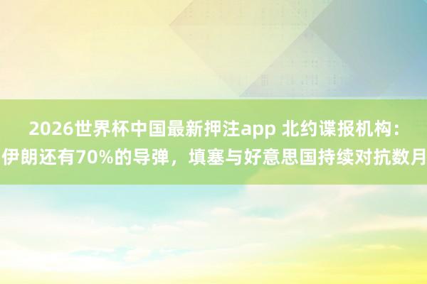 2026世界杯中国最新押注app 北约谍报机构：伊朗还有70%的导弹，填塞与好意思国持续对抗数月