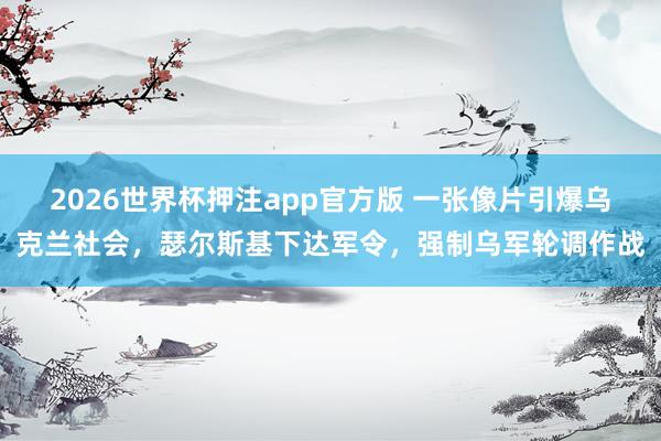 2026世界杯押注app官方版 一张像片引爆乌克兰社会，瑟尔斯基下达军令，强制乌军轮调作战