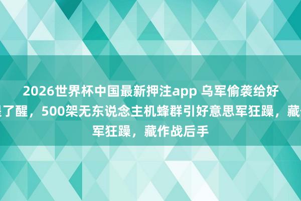 2026世界杯中国最新押注app 乌军偷袭给好意思军提了醒，500架无东说念主机蜂群引好意思军狂躁，藏作战后手