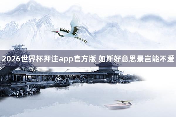 2026世界杯押注app官方版 如斯好意思景岂能不爱