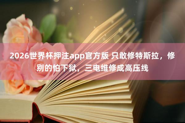 2026世界杯押注app官方版 只敢修特斯拉，修别的怕下狱，三电维修成高压线