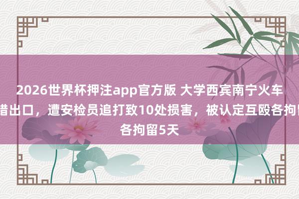 2026世界杯押注app官方版 大学西宾南宁火车站走错出口，遭安检员追打致10处损害，被认定互殴各拘留5天