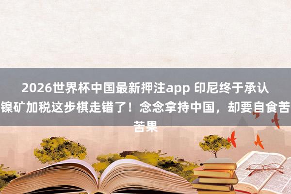 2026世界杯中国最新押注app 印尼终于承认：镍矿加税这步棋走错了！念念拿持中国，却要自食苦果
