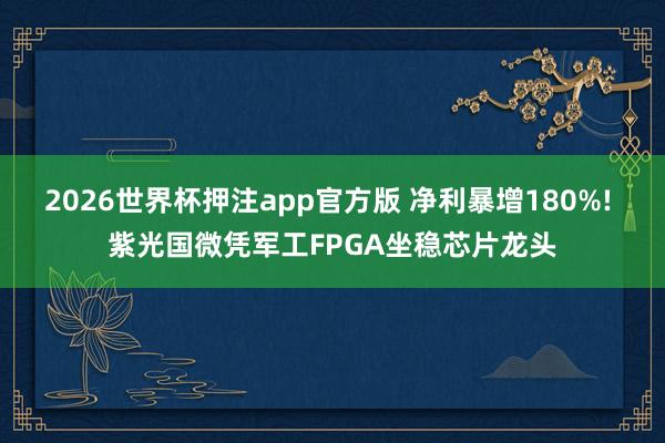 2026世界杯押注app官方版 净利暴增180%! 紫光国微凭军工FPGA坐稳芯片龙头