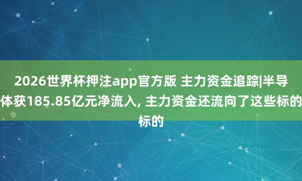 2026世界杯押注app官方版 主力资金追踪|半导体获185.85亿元净流入， 主力资金还流向了这些标的