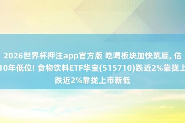 2026世界杯押注app官方版 吃喝板块加快筑底， 估值已至10年低位! 食物饮料ETF华宝(515710)跌近2%靠拢上市新低