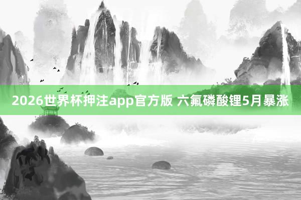 2026世界杯押注app官方版 六氟磷酸锂5月暴涨