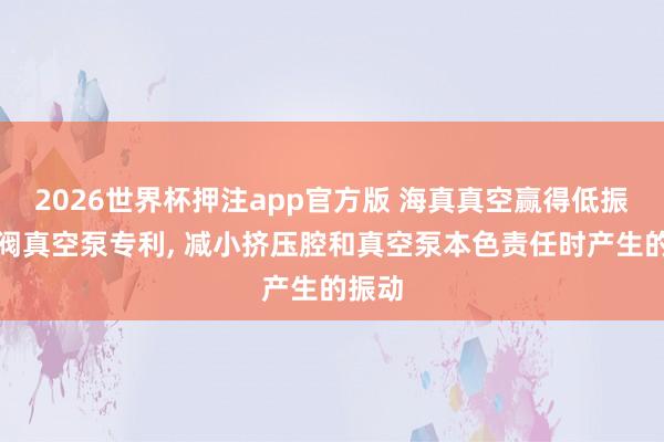 2026世界杯押注app官方版 海真真空赢得低振动滑阀真空泵专利, 减小挤压腔和真空泵本色责任时产生的振动