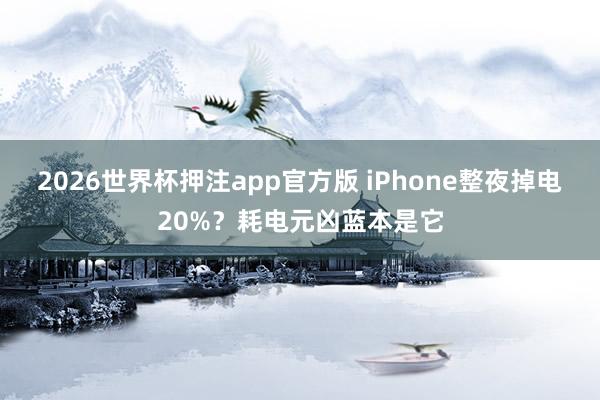 2026世界杯押注app官方版 iPhone整夜掉电20%？耗电元凶蓝本是它