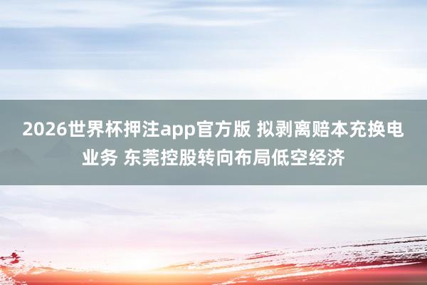 2026世界杯押注app官方版 拟剥离赔本充换电业务 东莞控股转向布局低空经济