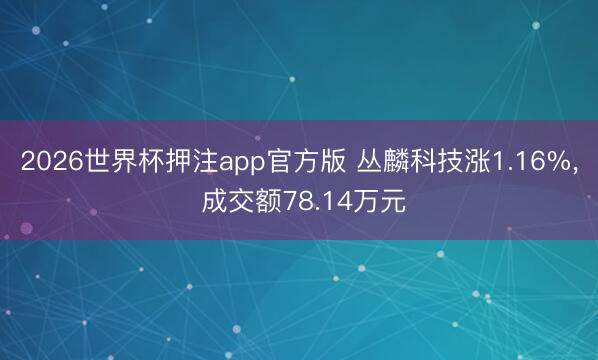 2026世界杯押注app官方版 丛麟科技涨1.16%， 成交额78.14万元