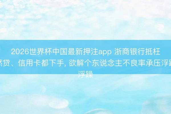 2026世界杯中国最新押注app 浙商银行抵枉然贷、信用卡都下手, 欲解个东说念主不良率承压浮躁