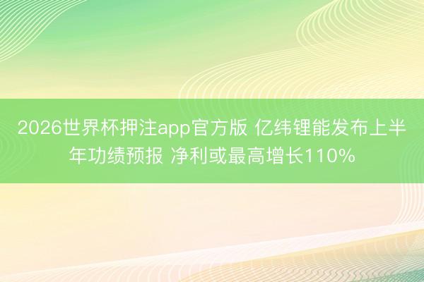 2026世界杯押注app官方版 亿纬锂能发布上半年功绩预报 净利或最高增长110%