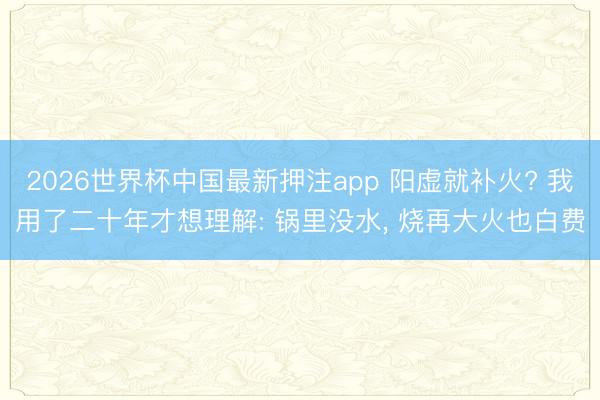 2026世界杯中国最新押注app 阳虚就补火? 我用了二十年才想理解: 锅里没水， 烧再大火也白费