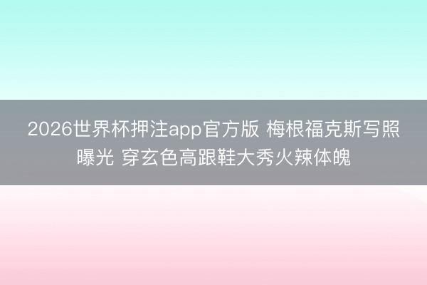 2026世界杯押注app官方版 梅根福克斯写照曝光 穿玄色高跟鞋大秀火辣体魄